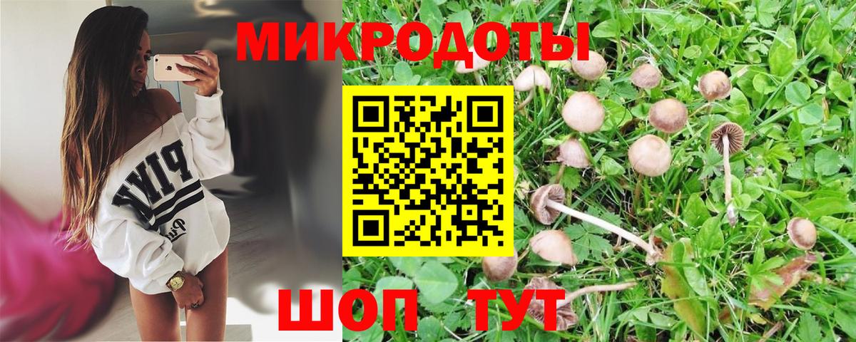 Азов  Галлюциногенные грибы GOLDEN TEACHER  Вход с VPN  Галлюциногенные грибы Magic Shrooms 