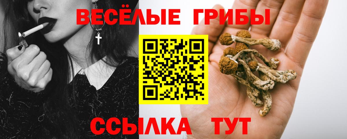 Псилоцибиновые грибы мухоморы Азов